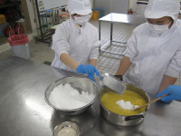 IMG_2531
