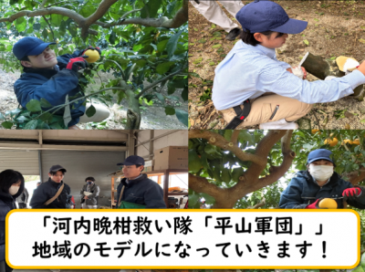 ７プロ１