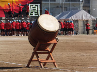 DSCF5991