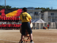 DSCF5993
