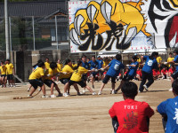 DSCF6185