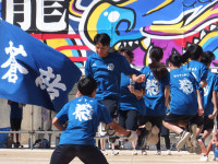 DSCF6198