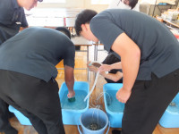 DSCF6349