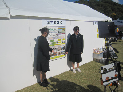 IMG_2409 - コピー