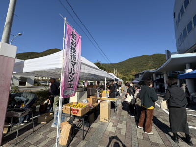 20251207_014526798_iOS