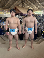 相撲HP写真